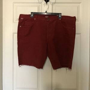Citizens
of Humanity Men’s Short Pants Size 40